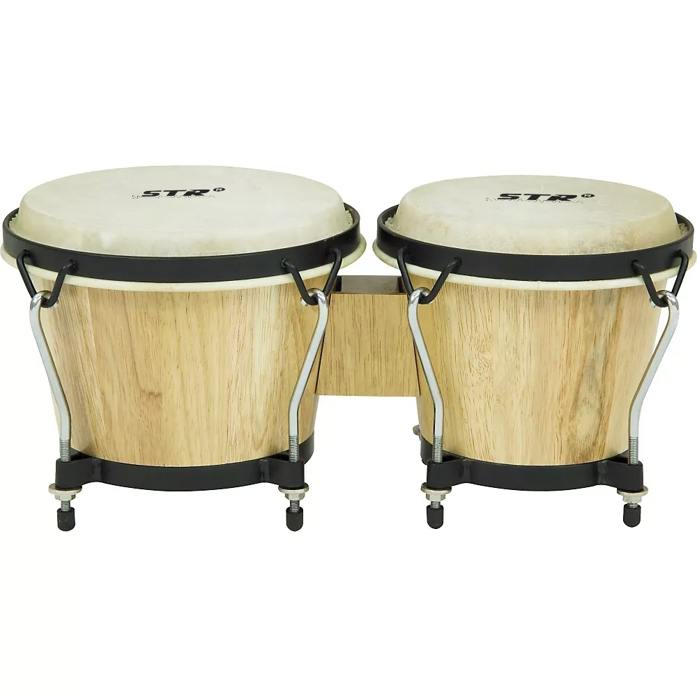 Century Bongo - Image 2