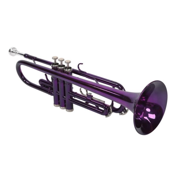 Zeff Trumpet Gloss Purple