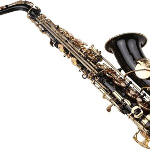 Zeff Alto Saxophone Gloss Black Essential Series